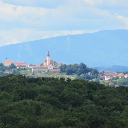 Apartmenthaus Styria Bad Gleichenberg Buitenkant foto