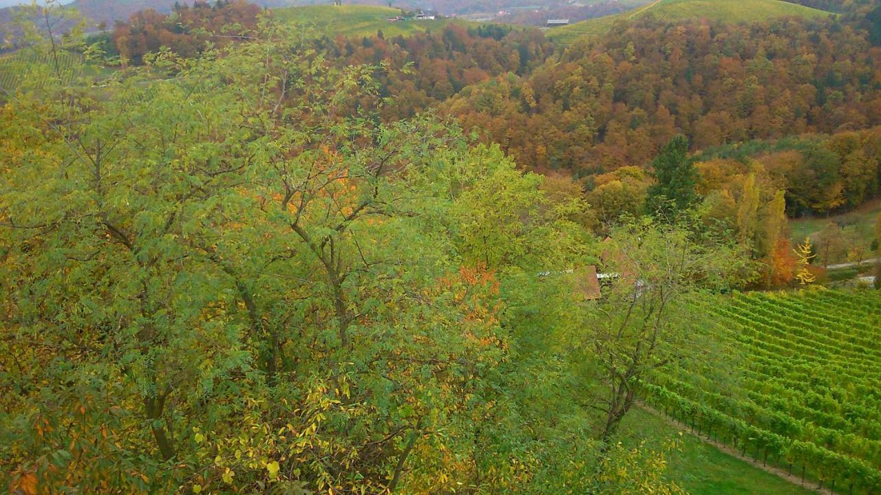 Apartmenthaus Styria Bad Gleichenberg Buitenkant foto